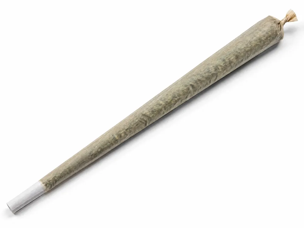 XKAPE 24" Challenger Cone product photo
