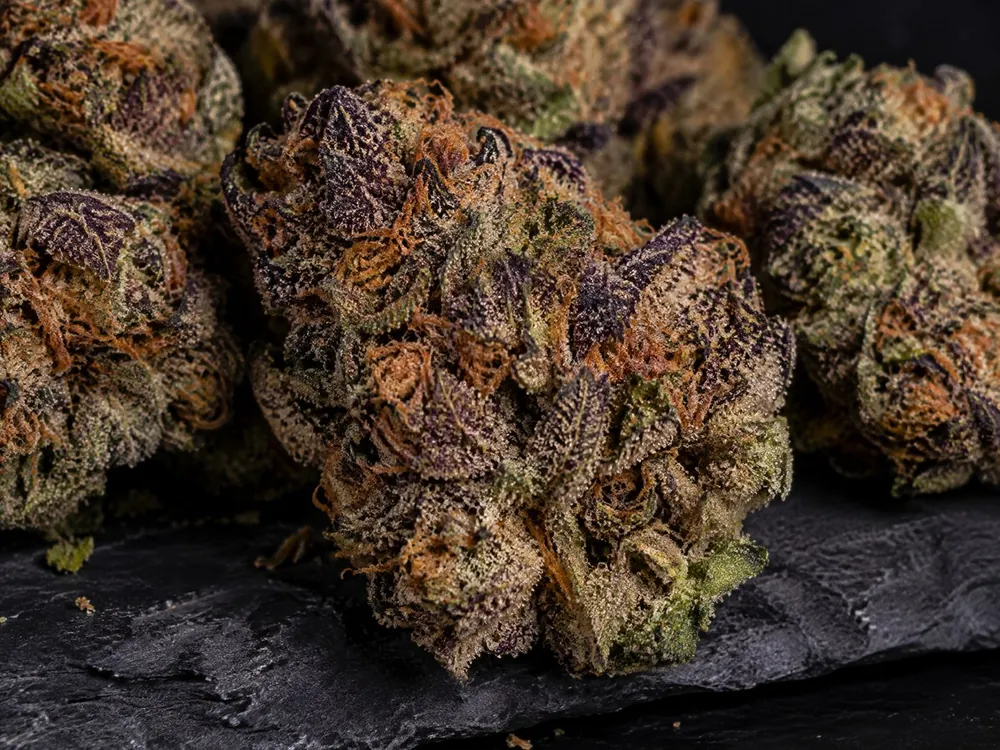 300 lb of Rainbow Kush — bulk lot photo