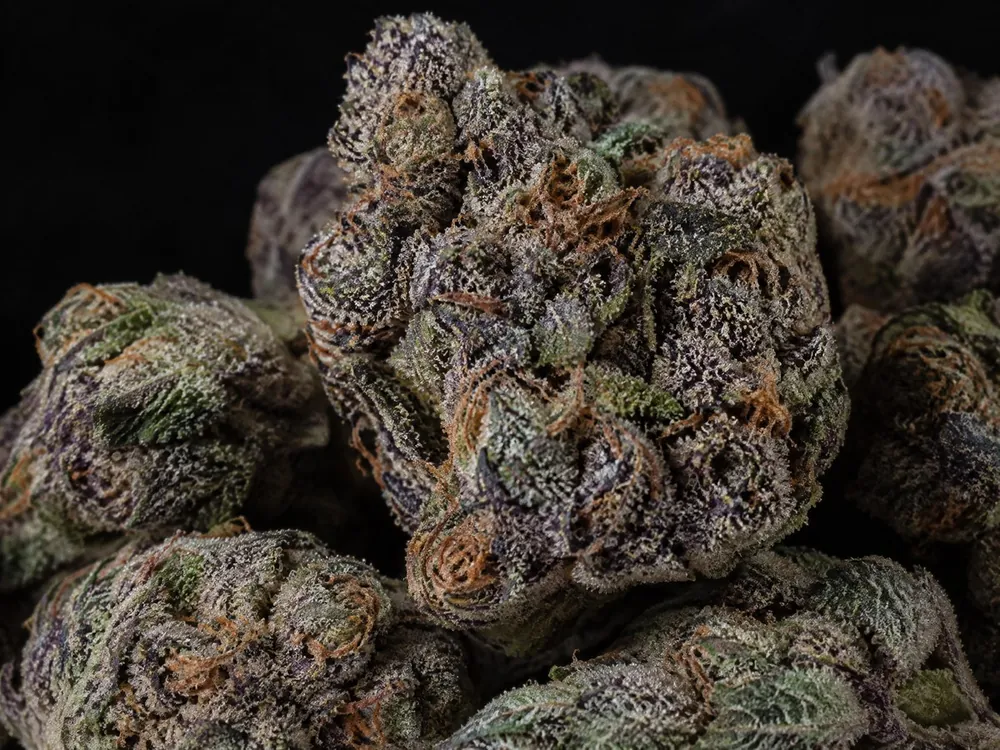 300 lb of Zkittlez — bulk lot photo